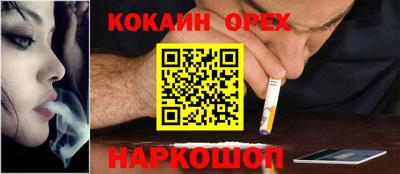 прущие крисы Кингисепп