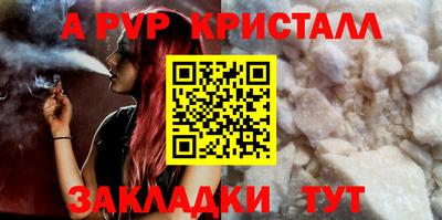 прущие крисы Кингисепп