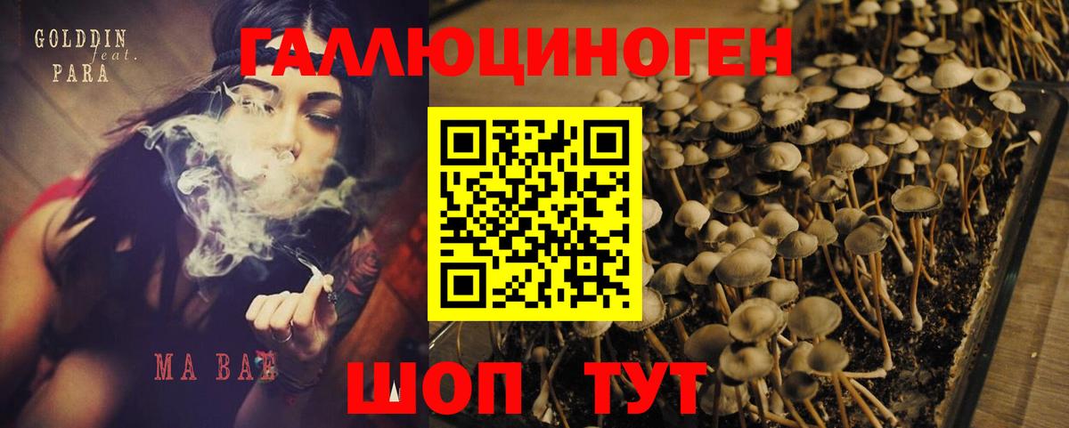 Псилоцибиновые грибы MAGIC MUSHROOMS Воскресенск