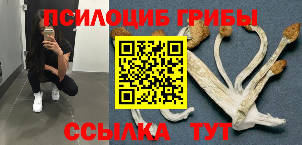 Воскресенск  Псилоцибиновые грибы MAGIC MUSHROOMS  Галлюциногенные грибы Cubensis  Вход с VPN 